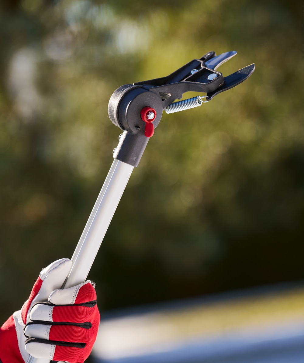 Felco Teleskop Astschere 290 - bei KOX online bestellen | XXFELCO-290