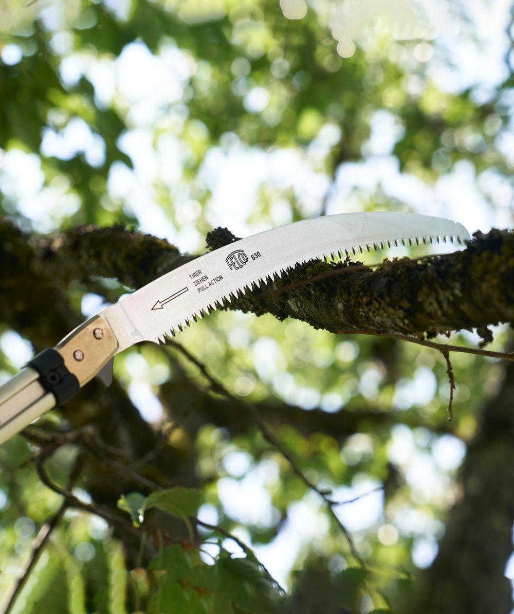 Felco Teleskops�ge 682 - bei KOX online bestellen | XXFELCO-682