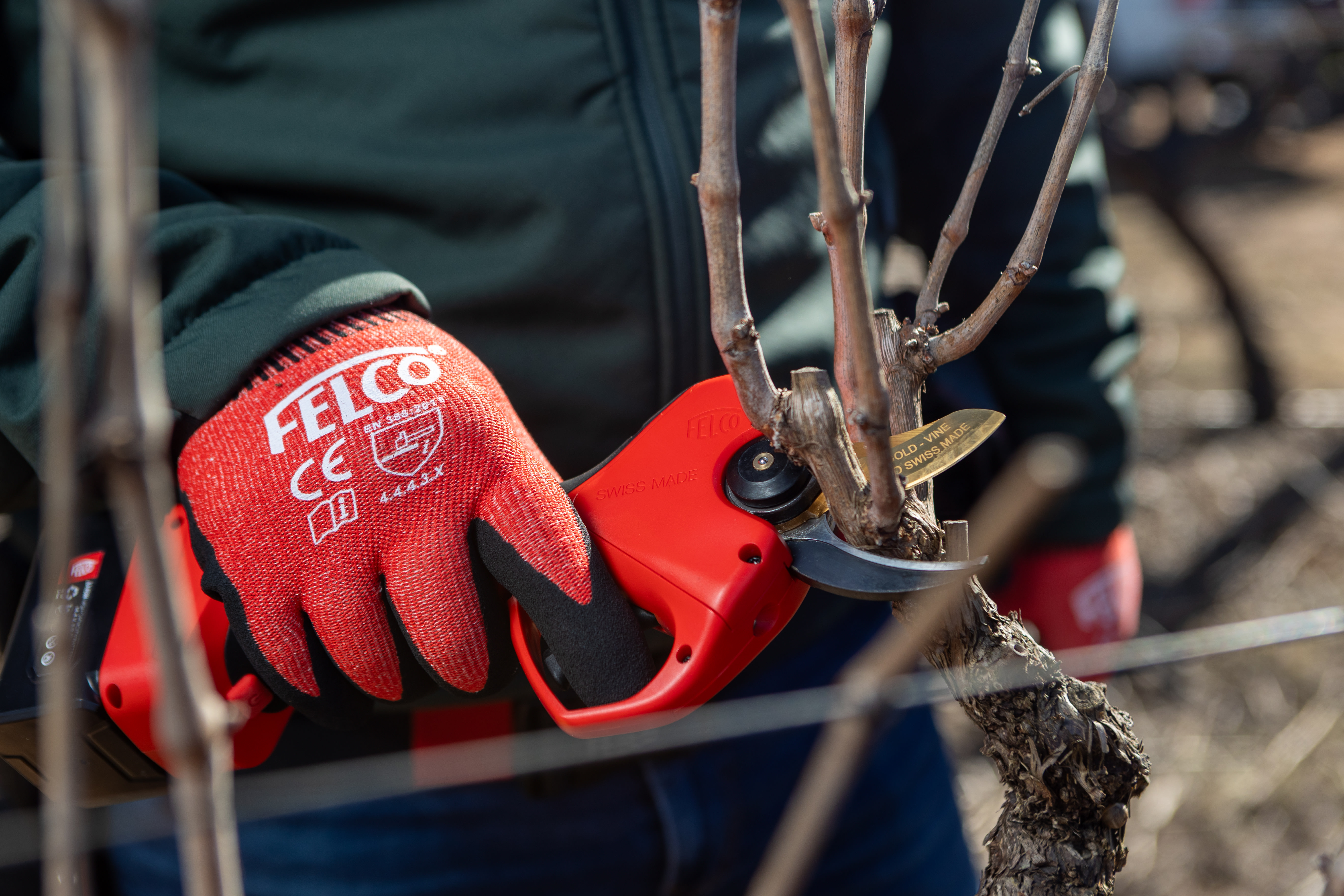 Felco elektrische Rebschere 834V - bei KOX online bestellen | XXFELCO-834V