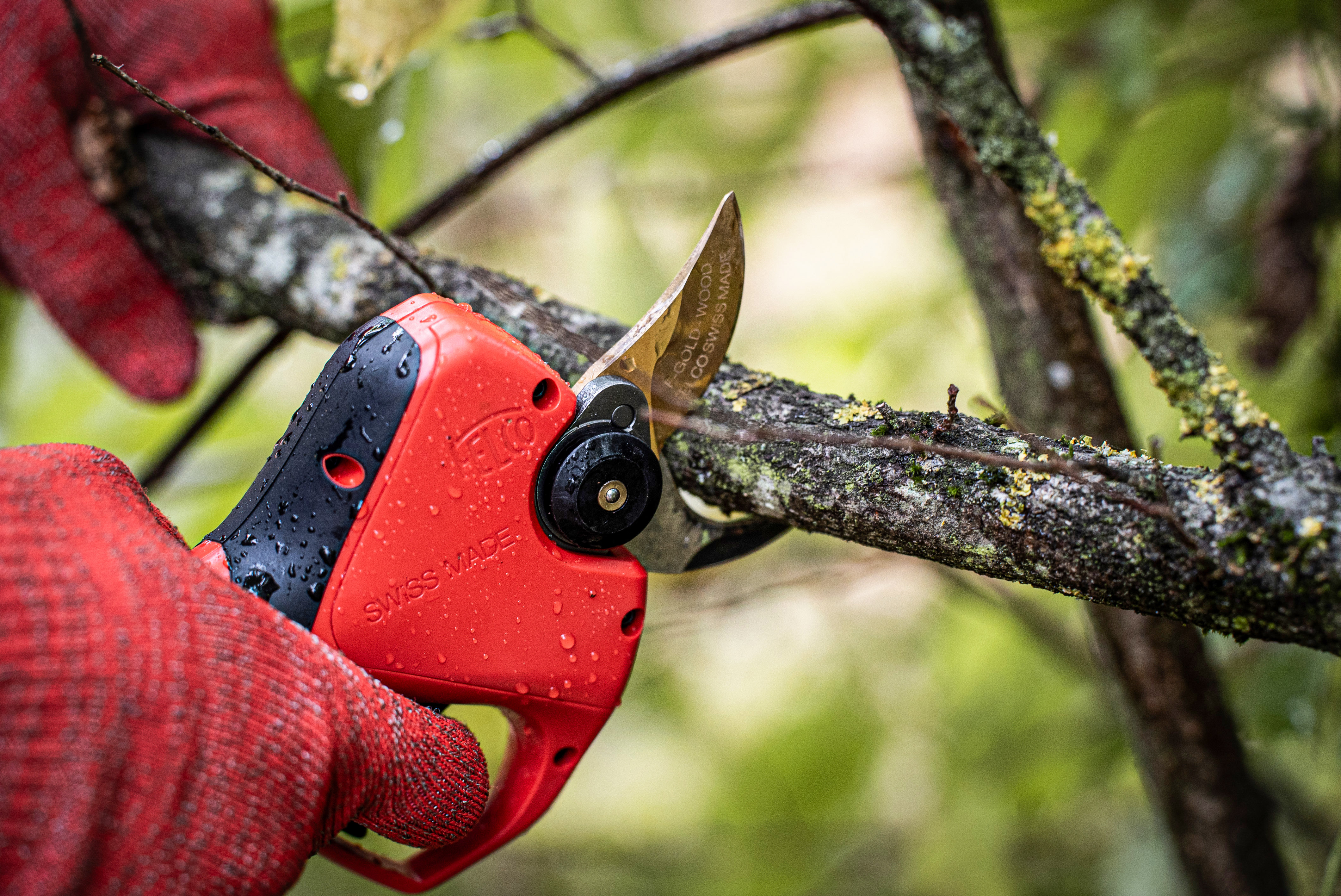 Felco elektrische Astschere 834W - bei KOX online bestellen | XXFELCO-834W