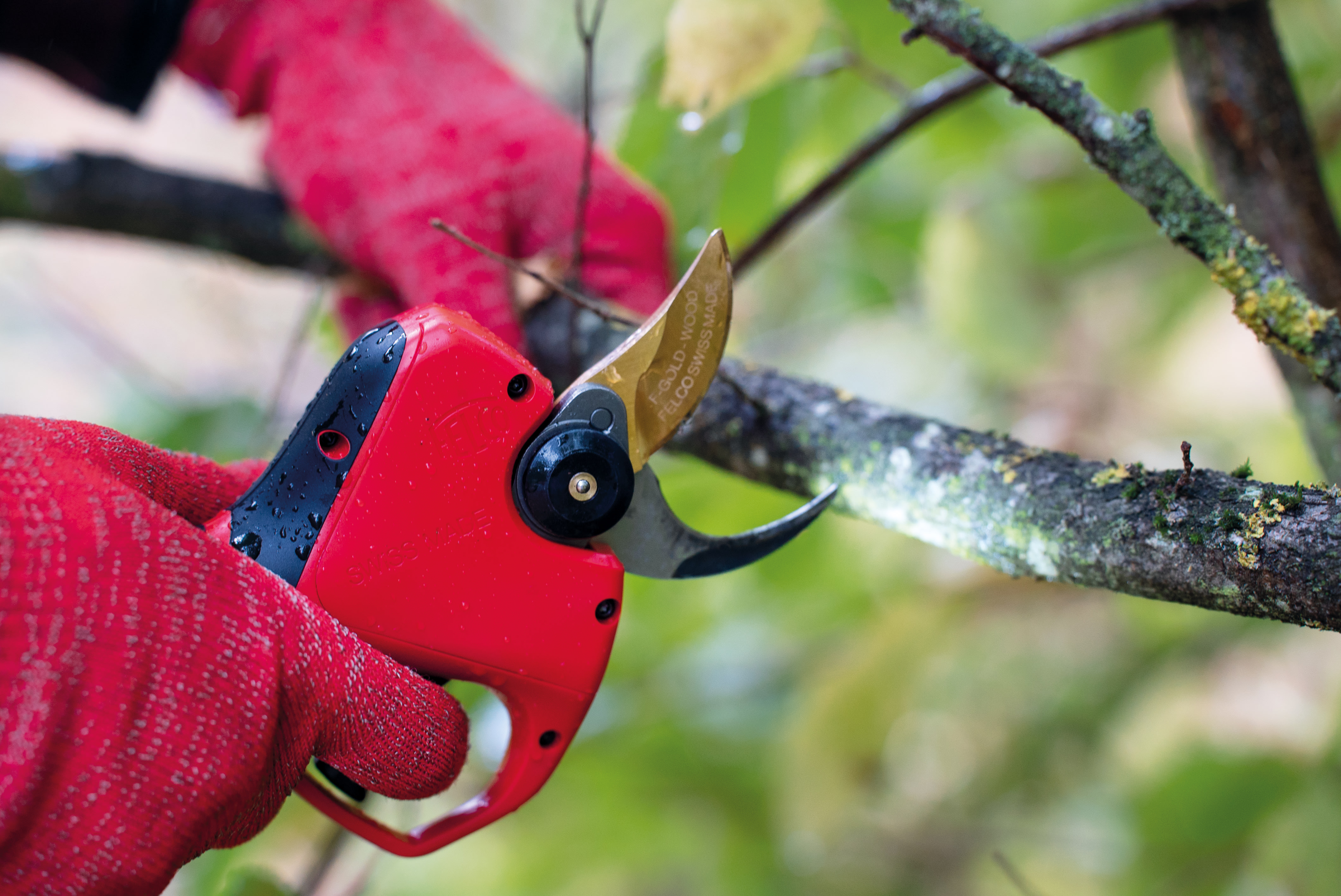 Felco elektrische Astschere 834W - bei KOX online bestellen | XXFELCO-834W