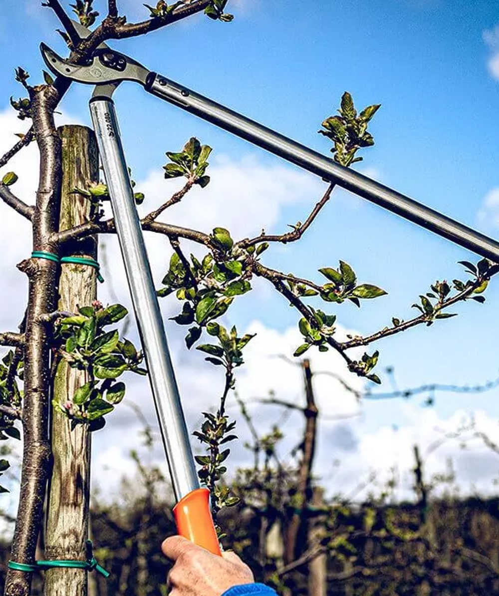 Original LWE snoeischaar 22.080 - bij KOX online bestellen | XXL22080