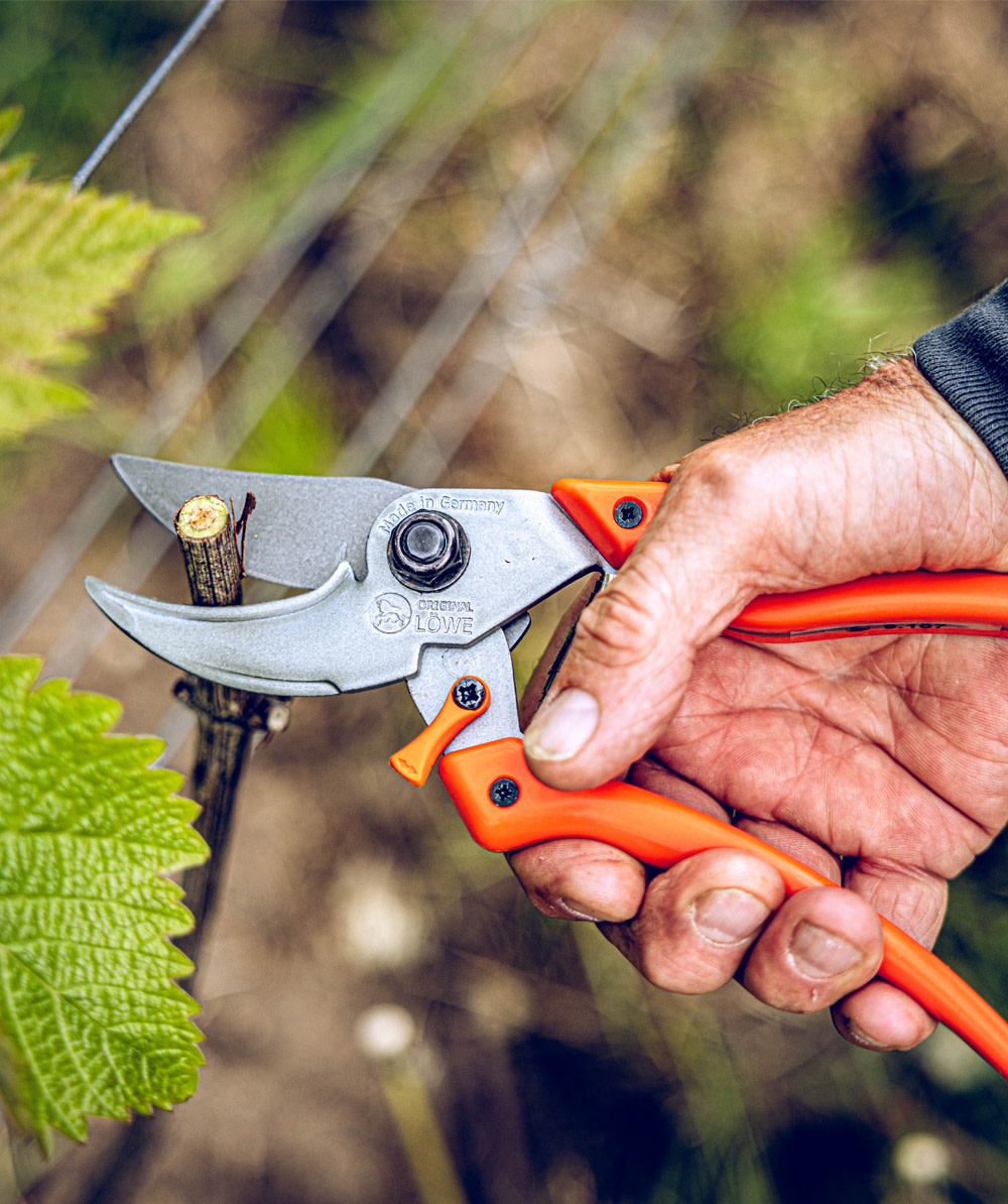 Scateur d'origine LWE 9.107 - commander en ligne chez KOX | XXL9107