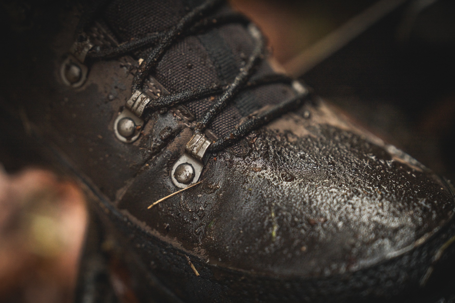 Seeland Outdoorschuhe / Jagdstiefel Enduro Explore Mid Dark brown - bei KOX online bestellen | XXSL6531007