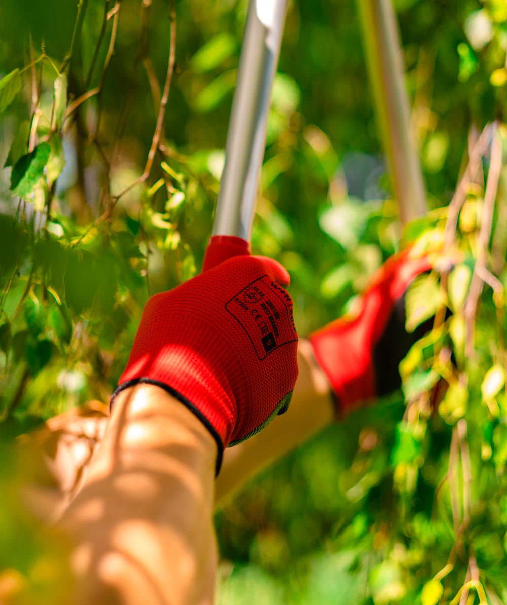 Seiz Arbeitshandschuhe Red Mamba Rot/Schwarz 5er-Pack - bei KOX online bestellen | XX75104