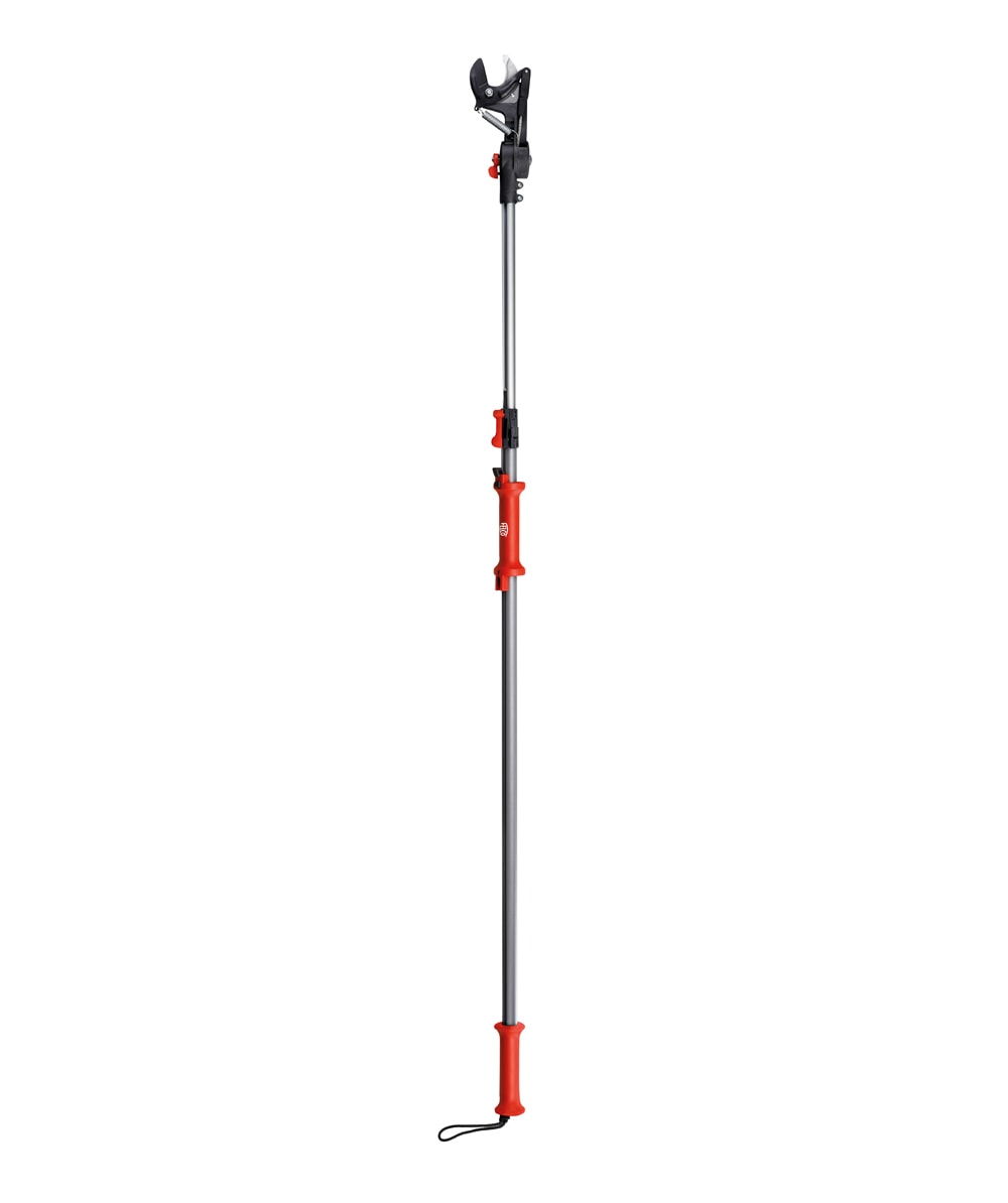  Felco Teleskop Astschere 290 - bei KOX online bestellen | XXFELCO-290 