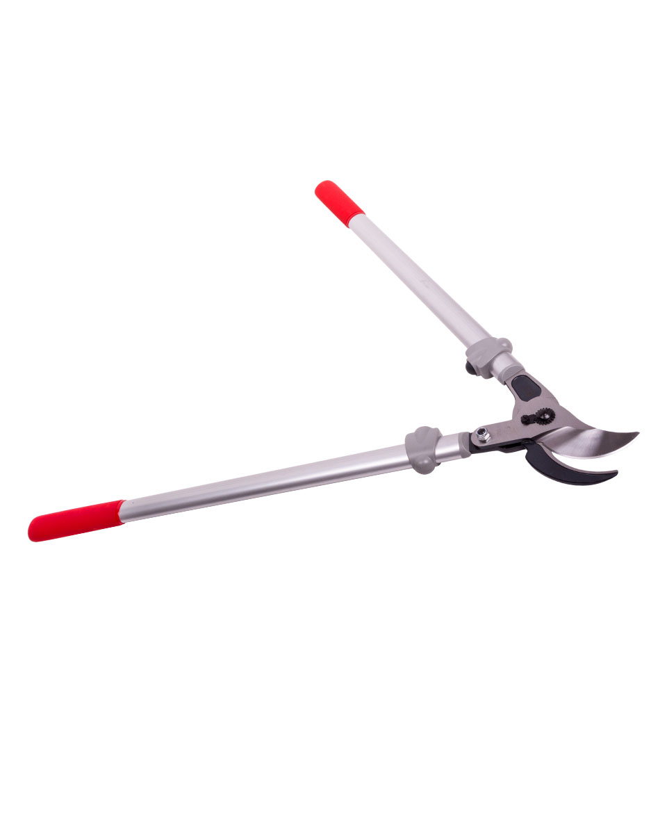 Felco snoeischaar 220, 80 cm lang - bij KOX online bestellen | XXFELCO-220
