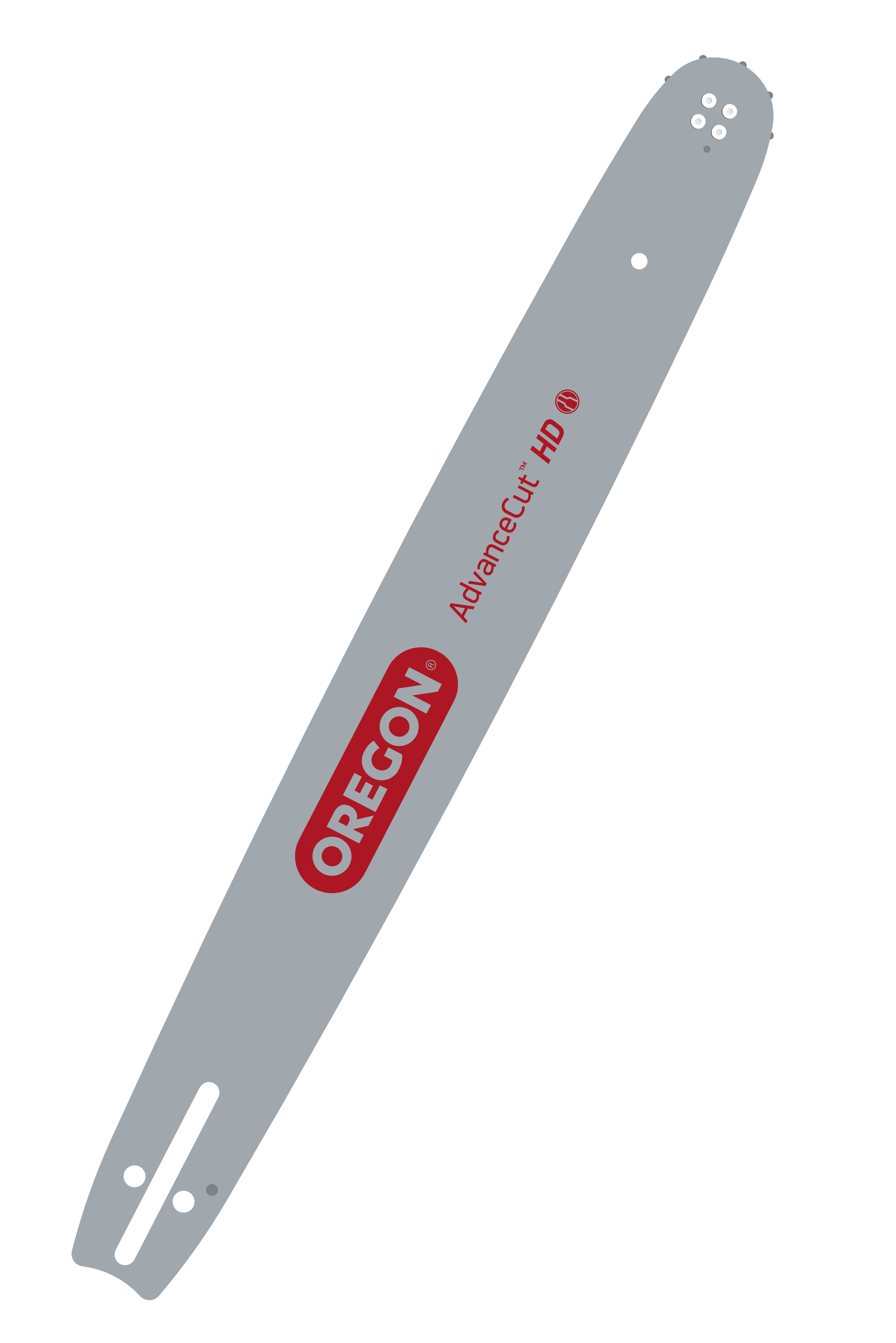  Guide Oregon Advancecut .325