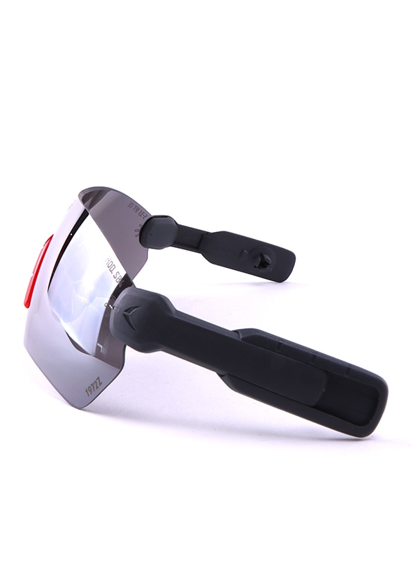 PROTOS Integral Schutzbrille/ Sicherheitsbrille, Grau - bei KOX online bestellen | XX74333