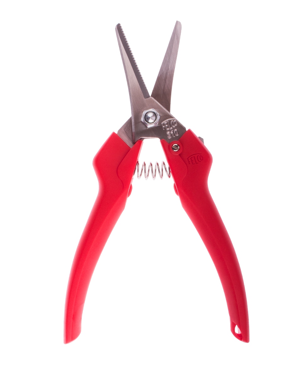 Felco Leseschere 310 mit langen, dnnen Klingen - bei KOX online bestellen | XXFELCO-310