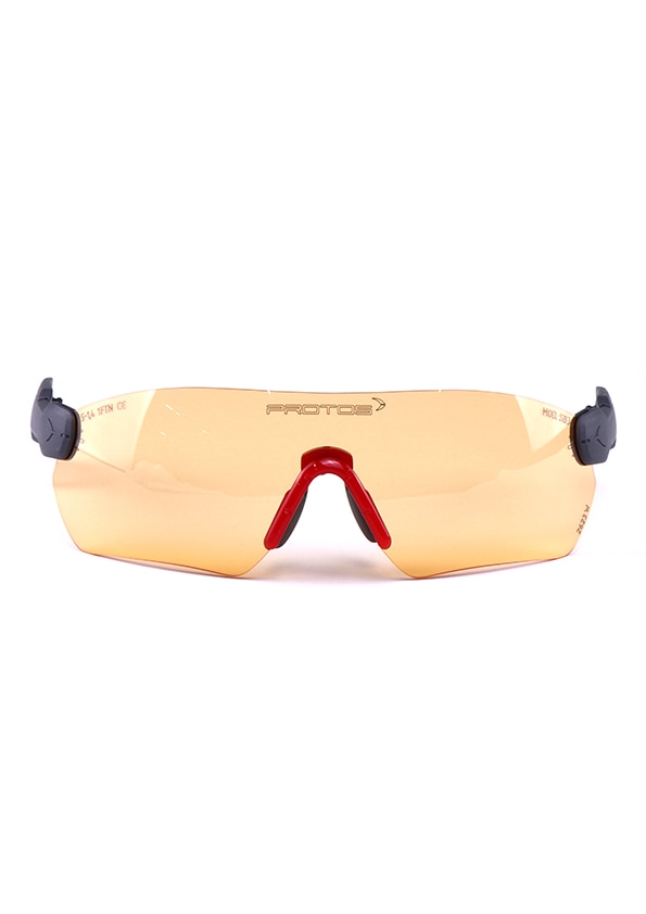  PROTOS Integral Schutzbrille/ Sicherheitsbrille, Orange - bei KOX online bestellen | XX74334 