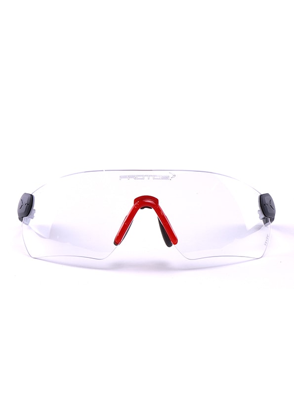  PROTOS Integral Schutzbrille/ Sicherheitsbrille, Klar - bei KOX online bestellen | XX74332 