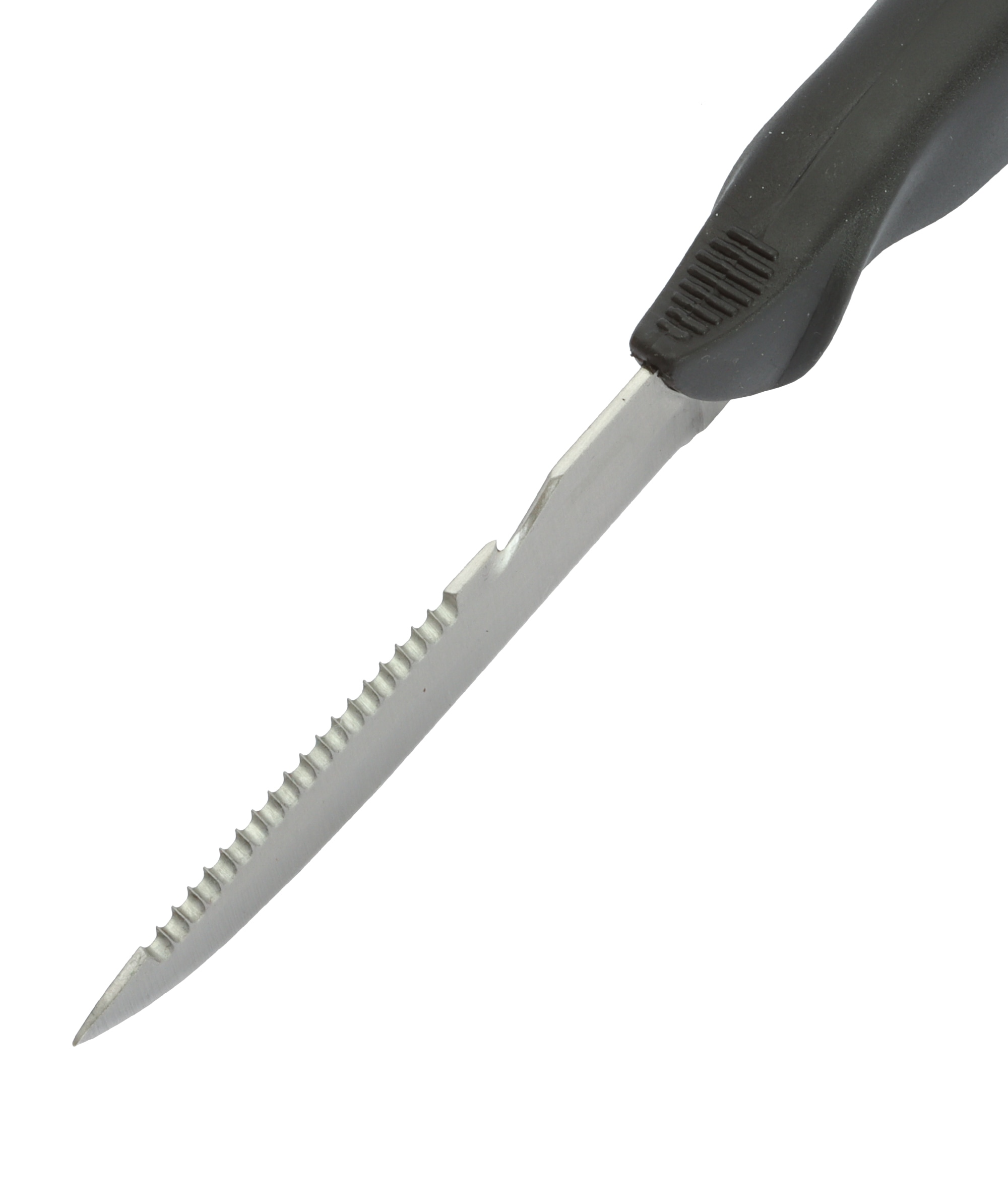 DRR Fisch-und Angelmesser FM-110 / 11 cm - bei KOX online bestellen | XXDR208052