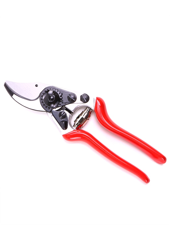 Felco ergonomische Gartenschere 14 fr kleine Hnde - bei KOX online bestellen | XXFELCO-14