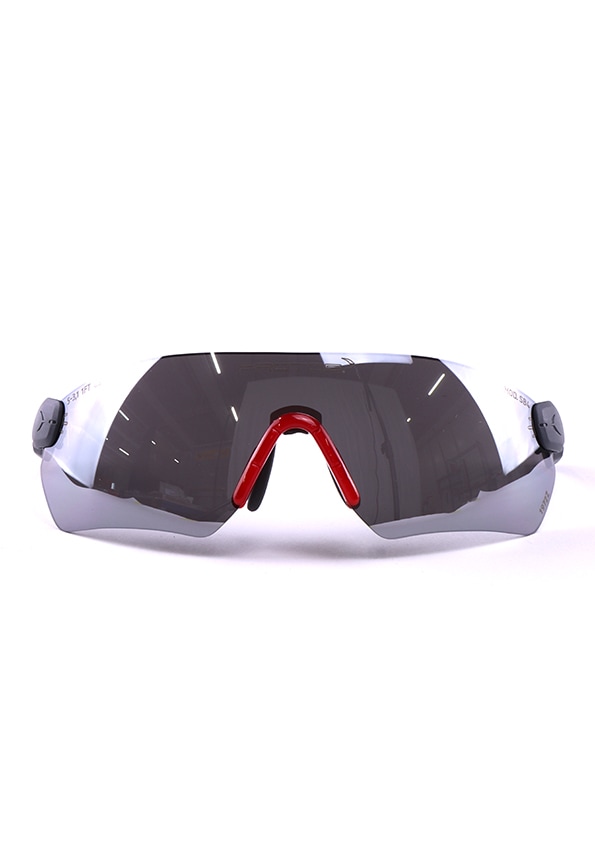  PROTOS Integral Schutzbrille/ Sicherheitsbrille, Grau - bei KOX online bestellen | XX74333 
