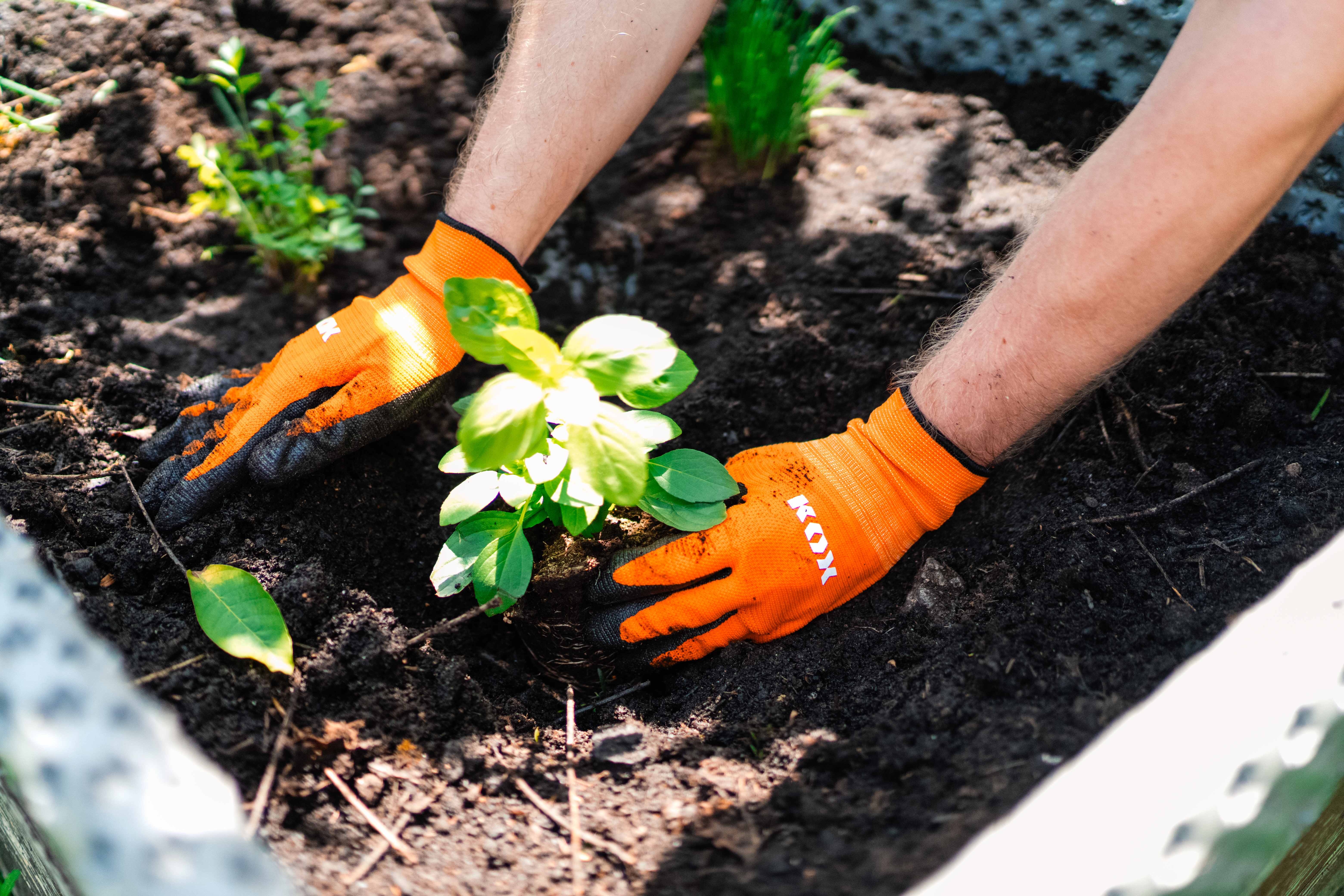 KOX Arbeitshandschuhe / Gartenhandschuhe Flex Orange - bei KOX online bestellen | XX75322