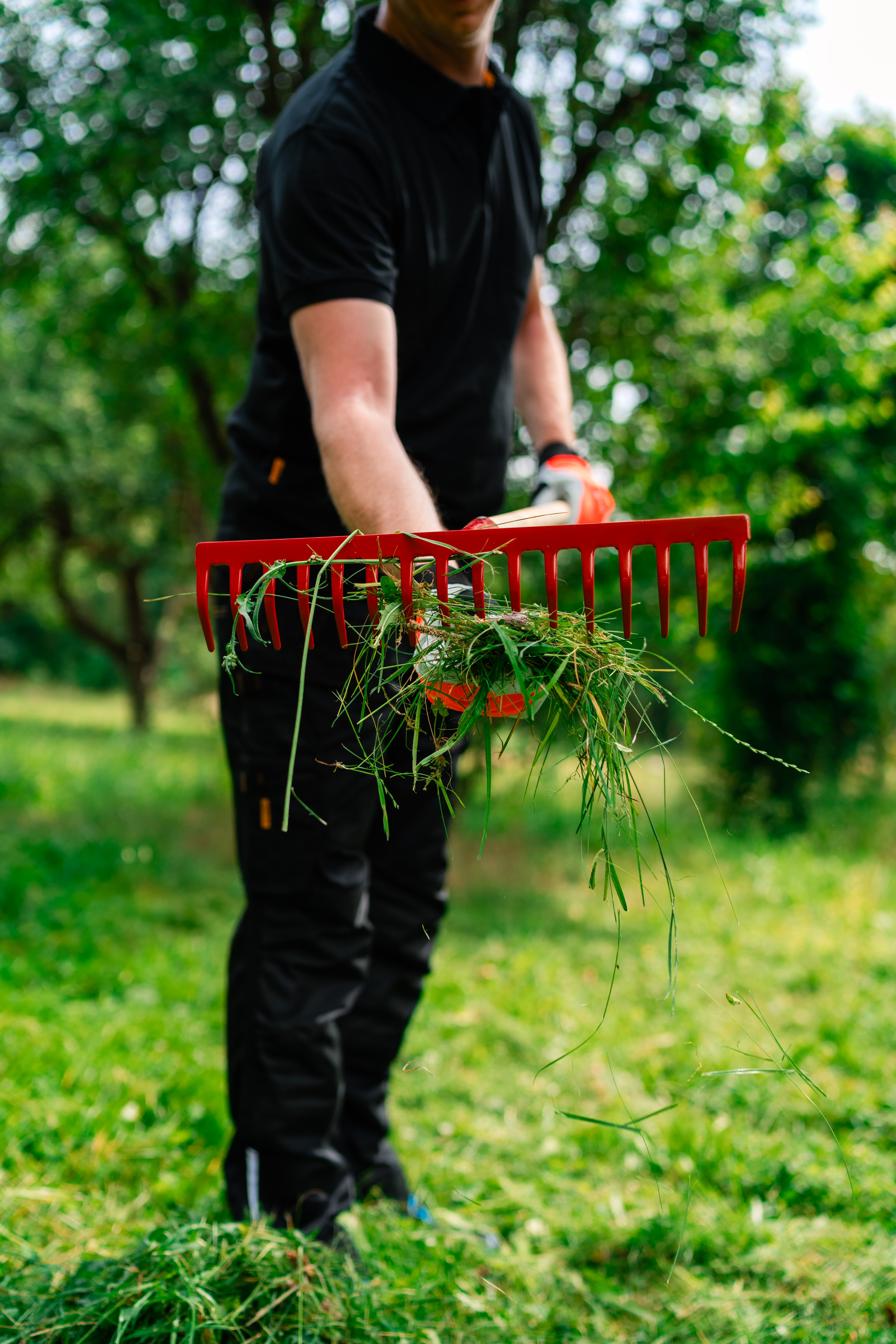 Rteau de jardin KOX - commander en ligne chez KOX | XXKOX56756