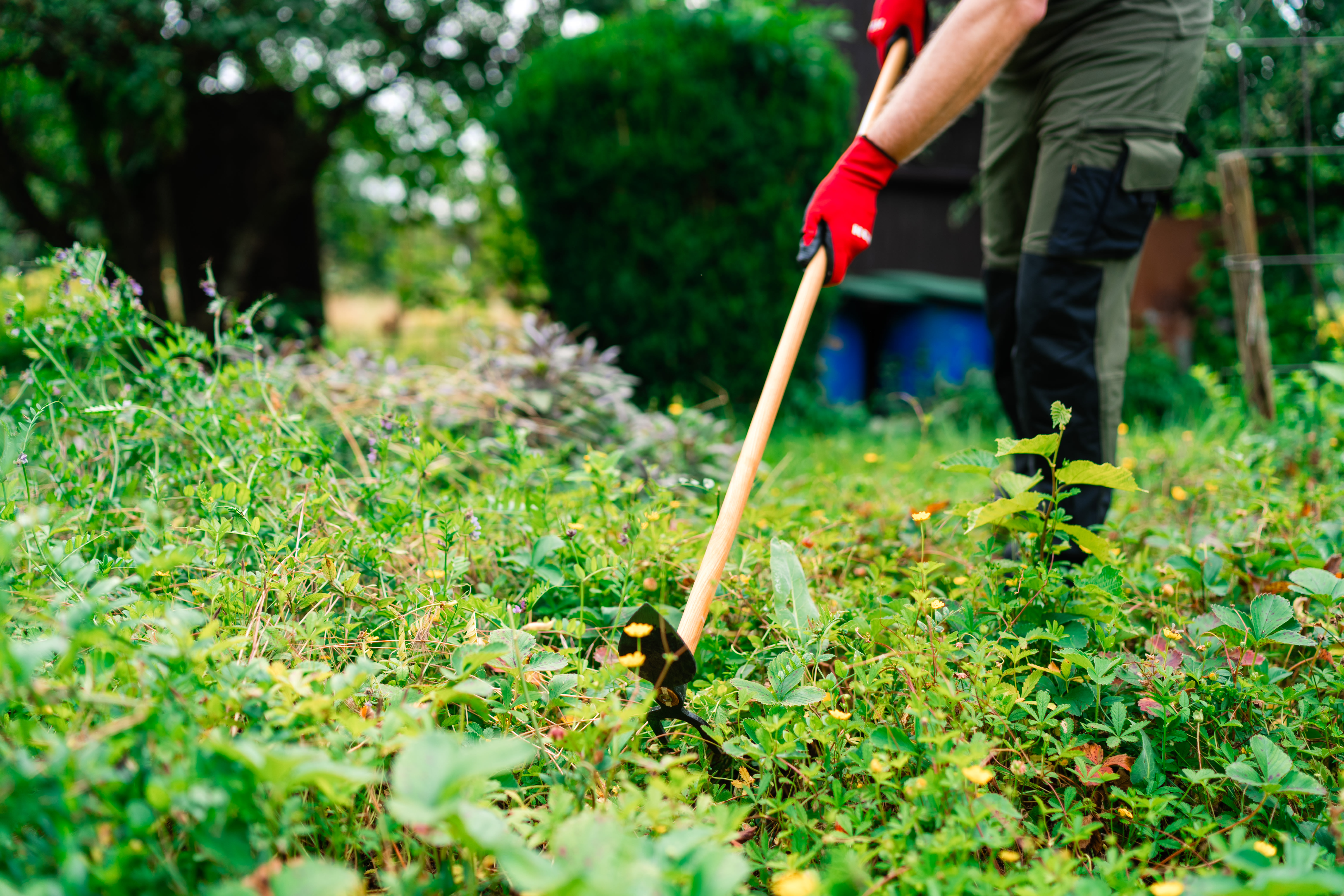 KOX Gartenhacke Herzblatt, 2 Zinken - bei KOX online bestellen | XXKOX56751