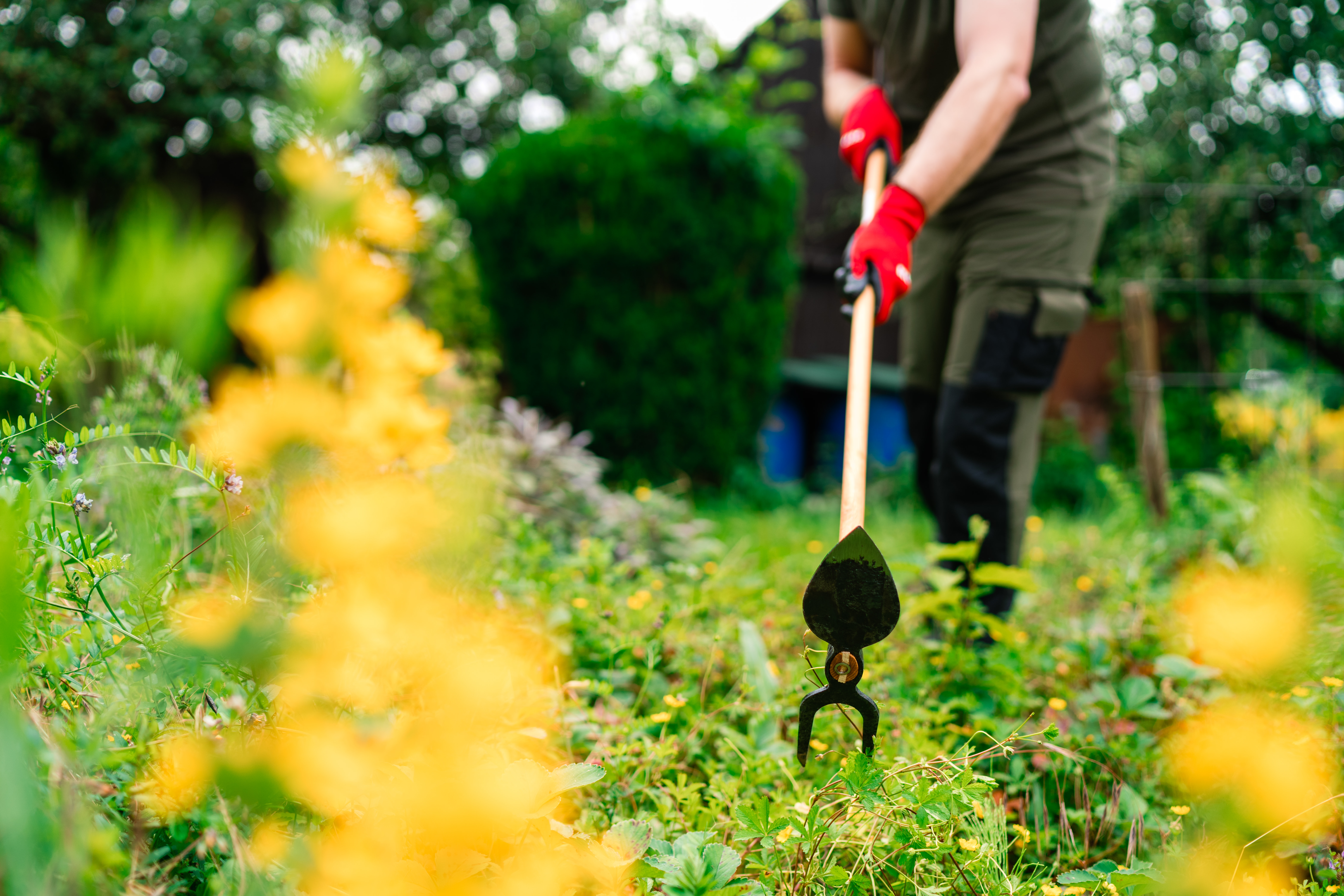 KOX Gartenhacke Herzblatt, 2 Zinken - bei KOX online bestellen | XXKOX56751