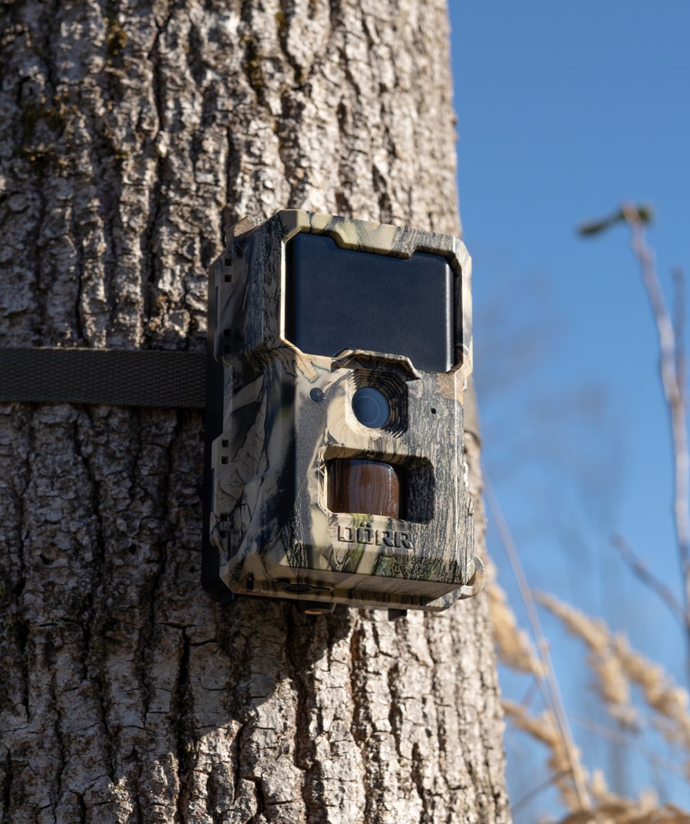 Drr wildlife-camera SnapShot Mini 5.0 Pro - bij KOX online bestellen | XXDR204501