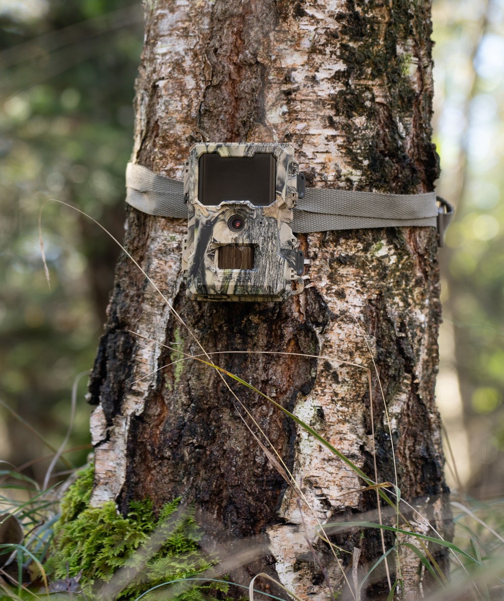 Drr wildlife-camera SnapShot Mini 5.0 Pro - bij KOX online bestellen | XXDR204501