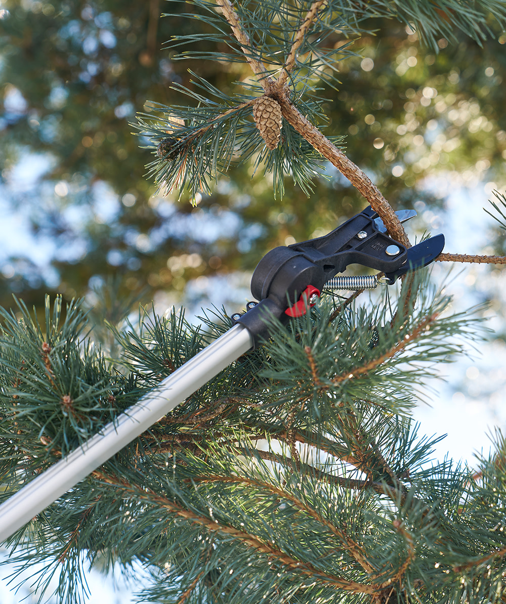 Felco Teleskop Astschere 290 - bei KOX online bestellen | XXFELCO-290