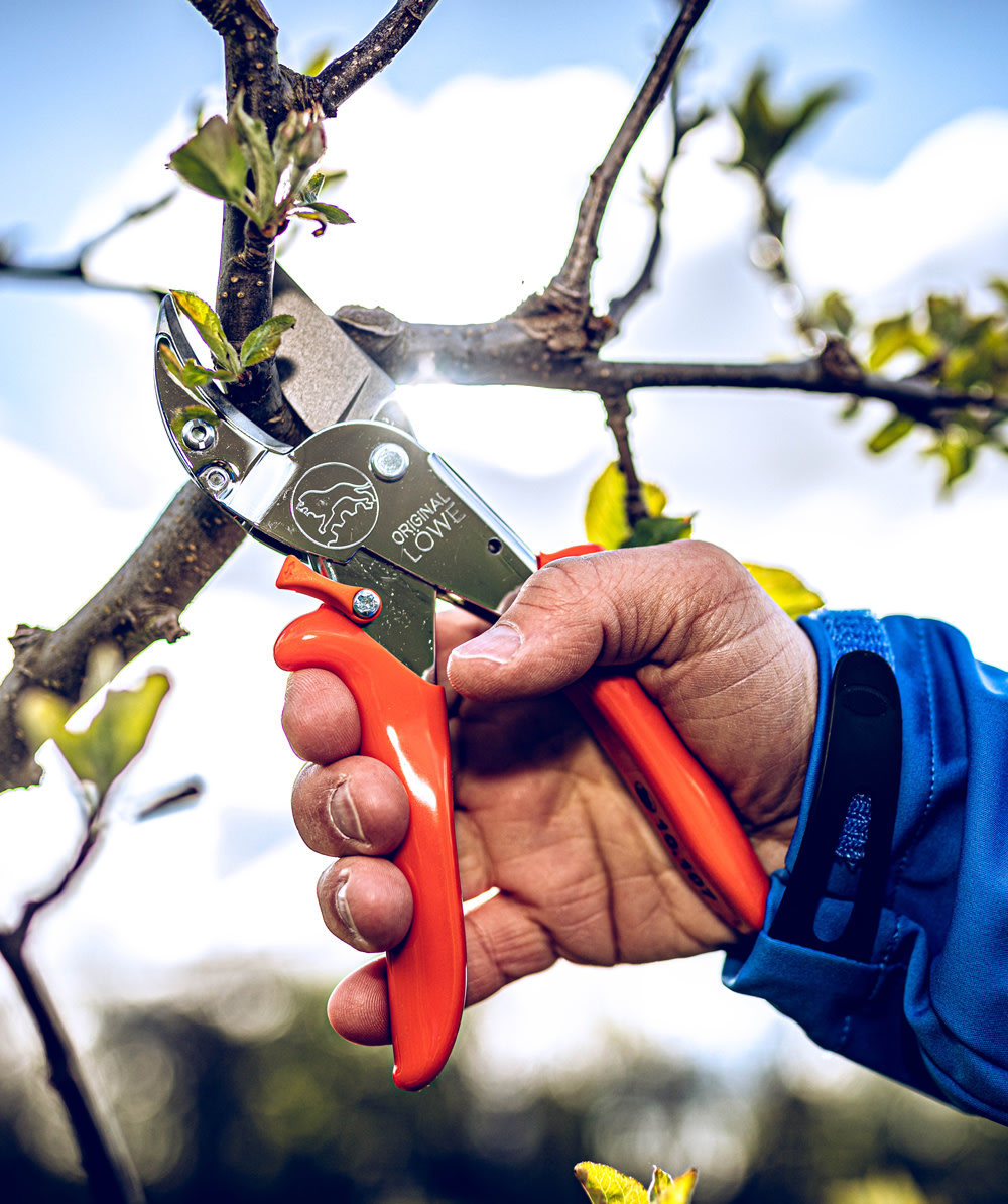 Original LWE Gartenschere 10.107 - bei KOX online bestellen | XXL10107
