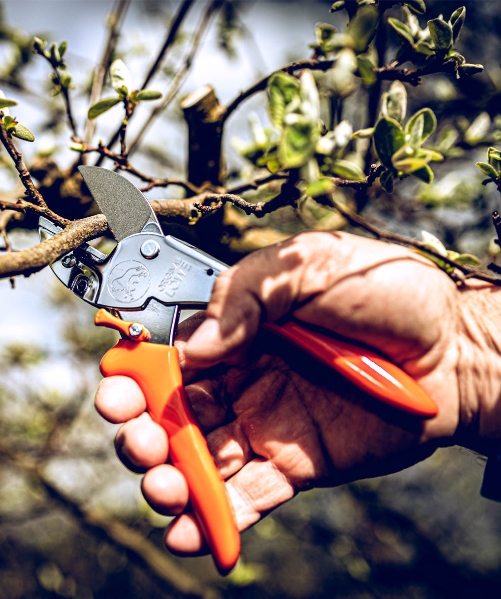 Original LWE Gartenschere 1.104 - bei KOX online bestellen | XXL1104