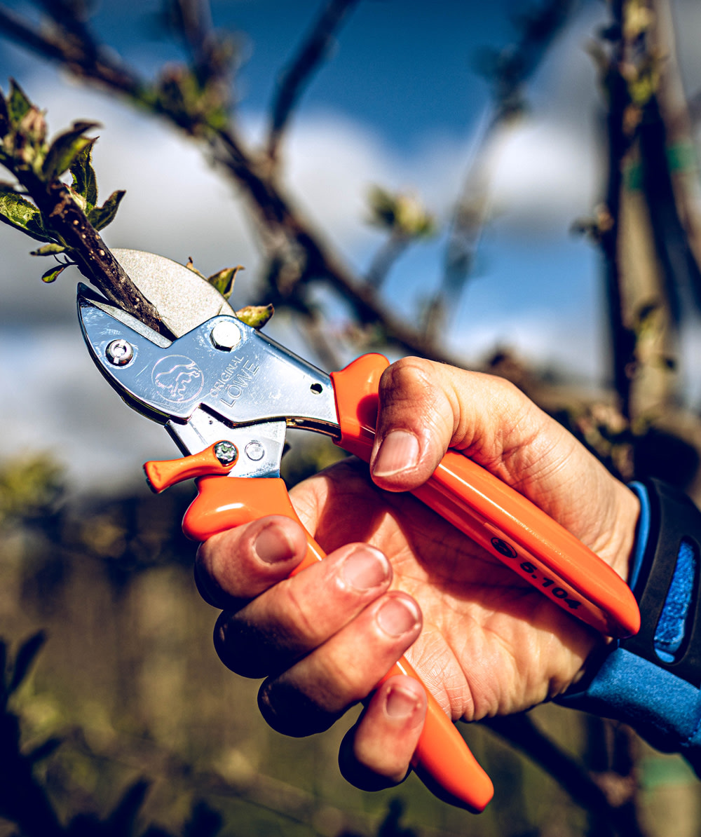 Original LWE Gartenschere 5.104 - bei KOX online bestellen | XXL5104