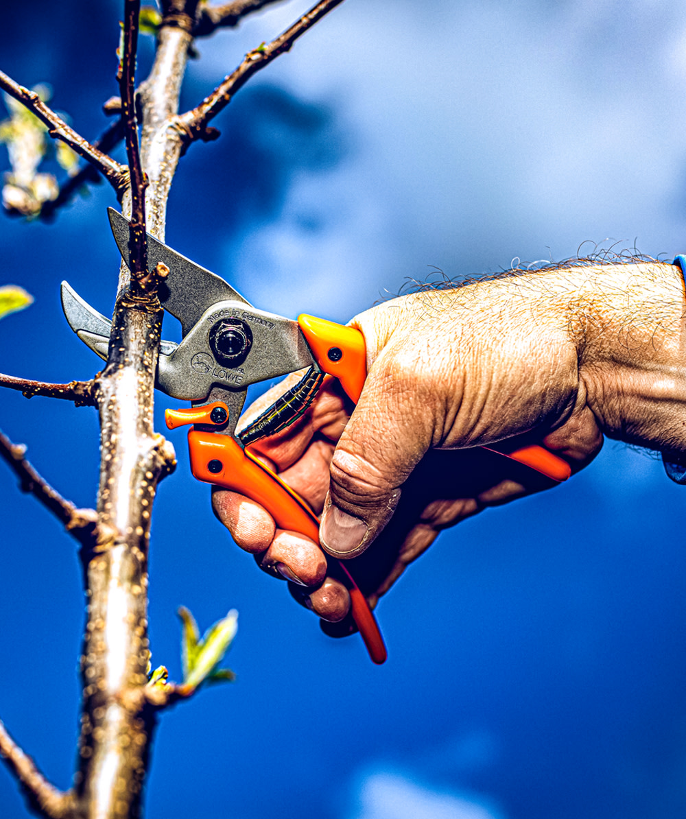 Original LWE  Gartenschere 8.107 - bei KOX online bestellen | XXL8107
