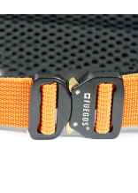 Fuegos Profi Forstg�rtel Schwarz/Orange - bei KOX online bestellen | XX97501-00