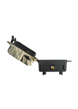 Drr Wildkamera SnapShot Mini 5.0 Pro - bei KOX online bestellen | XXDR204501