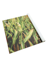 Filet de camouflage KOX mas 4 x 1 m sans oeillets - commander en ligne chez KOX | XX9757