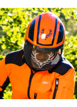 PROTOS Forsthelm / Schutzhelm KOX Edition mit Gehrschutz und Visier Integral Forest Orange/Blau OneSize - bei KOX online bestellen | XX74115
