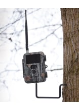 DRR Baumschraube 1/4