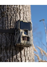 Drr Wildkamera SnapShot Mini 5.0 Pro - bei KOX online bestellen | XXDR204501