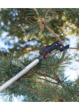 Felco Teleskop Astschere 290 - bei KOX online bestellen | XXFELCO-290