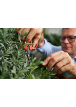 Felco Przisions-Trimmschere/ Gartenschere 420 - bei KOX online bestellen | XXFELCO-420