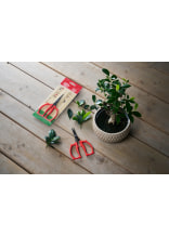Felco Przisions-Trimmschere/ Gartenschere 420 - bei KOX online bestellen | XXFELCO-420