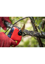 Felco elektrische Astschere 834W - bei KOX online bestellen | XXFELCO-834W