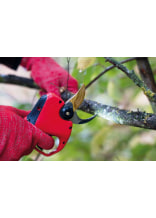 Felco elektrische Astschere 834W - bei KOX online bestellen | XXFELCO-834W