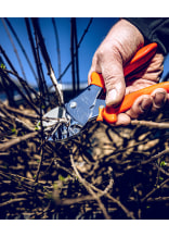 Original LWE tuinschaar 1.104 - bij KOX online bestellen | XXL1104
