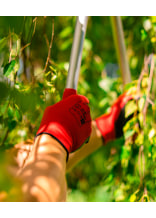 Seiz Arbeitshandschuhe Red Mamba Rot/Schwarz 5er-Pack - bei KOX online bestellen | XX75104