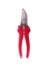 Felco Leseschere 300 - bei KOX online bestellen | XXFELCO-300