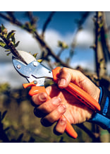 Original LWE Gartenschere 5.104 - bei KOX online bestellen | XXL5104