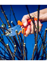 Original LWE Gartenschere 5.104 - bei KOX online bestellen | XXL5104