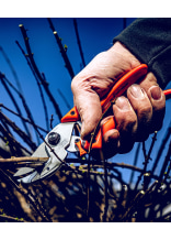 Original LWE  Gartenschere 8.107 - bei KOX online bestellen | XXL8107